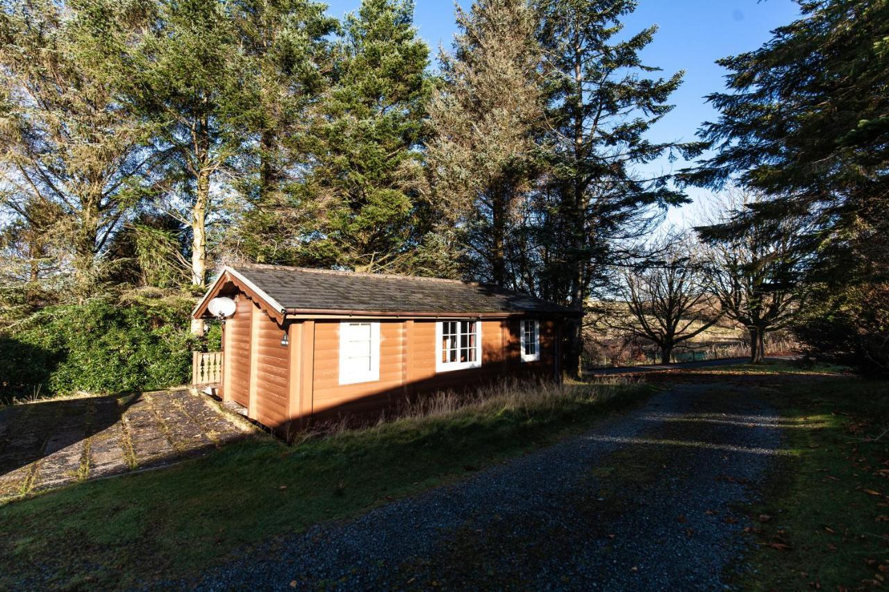 Stunning Log Cabin With Garden In Snowdonia - Hosted By Seren Short Stays Trawsfynydd Exterior foto